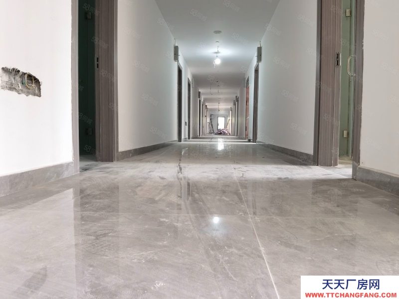 (出租) 成都武侯 金花地鐵站 主播間出租（非中介）