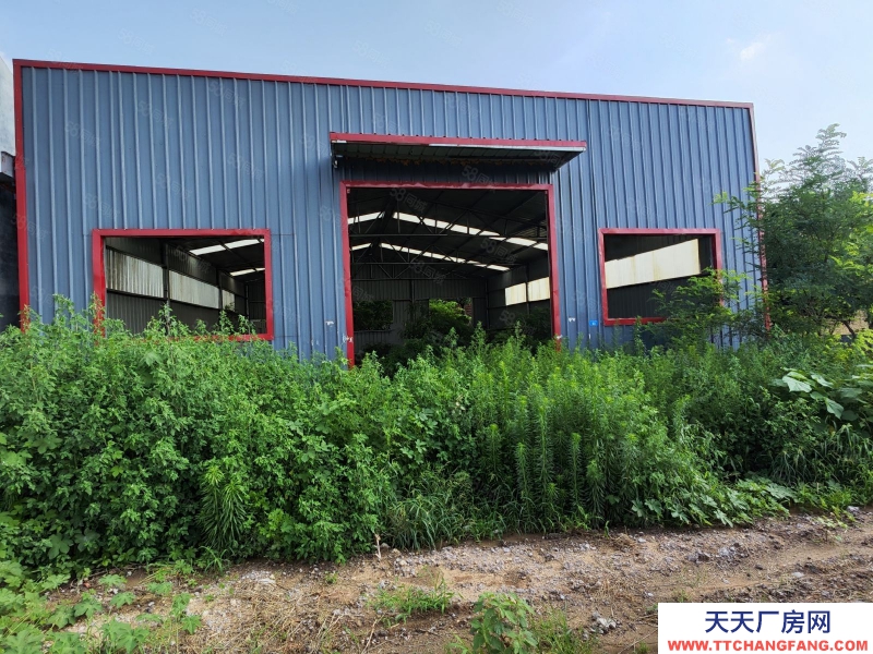 濰坊昌樂營丘鎮(zhèn)吉阿村廠房土地出租