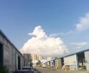 (出租) 黃岡  麻城位于京九大道街面，成熟商圈，半掛車直接入庫