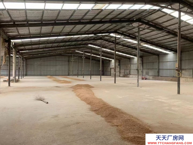 廊坊 香河  獨門獨院2400平 廠房可做木工鈑金 柱腳5米