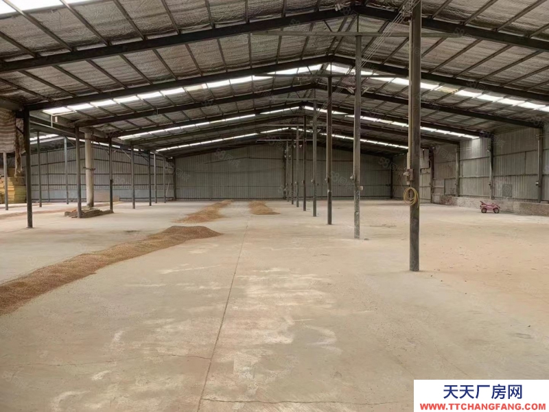 廊坊 香河  獨門獨院2400平 廠房可做木工鈑金 柱腳5米