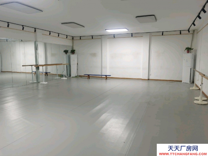 (出租)西安雁塔 獨門獨院，環境優美安靜，院子位置沿街交通便利。