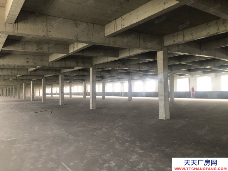 寧波鎮海(出租) 駱駝工業區4樓550平14元出租了，， 有貨梯適用輕工業的。