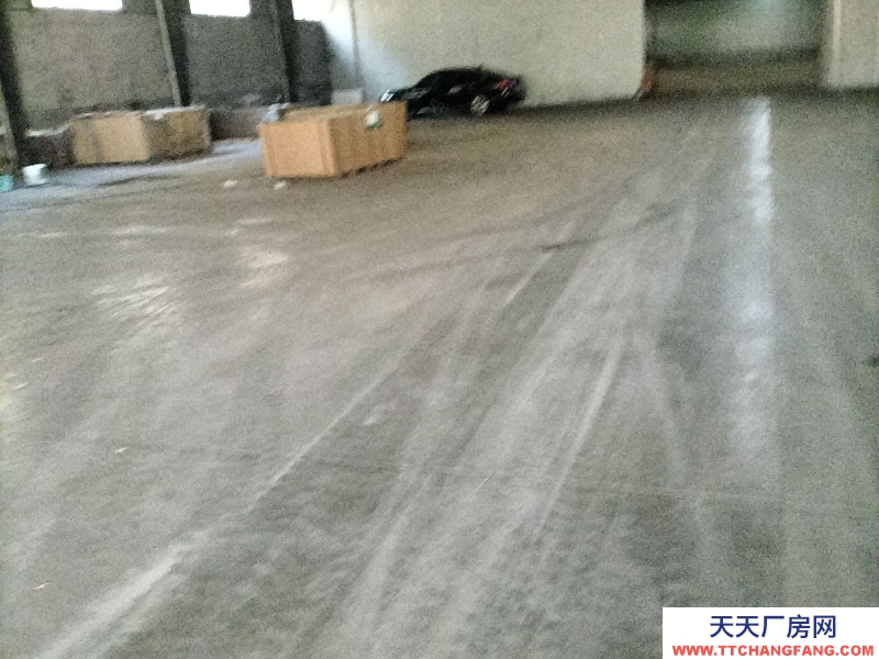 寧波鎮海(出租) 出租全一樓廠房高7米800平方只做倉庫，馬上可用，價格面議