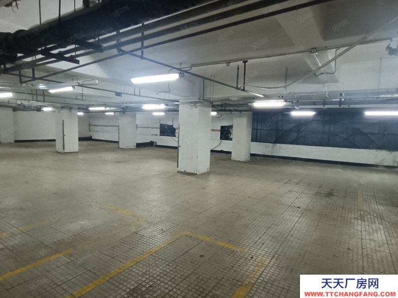 (出租)西安蓮湖 西門外 東光大廈 寫字樓四層庫房