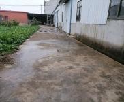 (出租) 黃岡武穴單門獨院，占地面積4畝，內空地有果樹萊園，生活設施齊全。