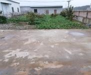 (出租) 黃岡武穴單門獨院，占地面積4畝，內空地有果樹萊園，生活設施齊全。