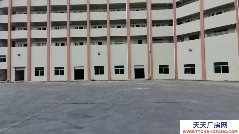 (出租) 中山坦洲工業區單一層星棚2860平出租可分租400平起分