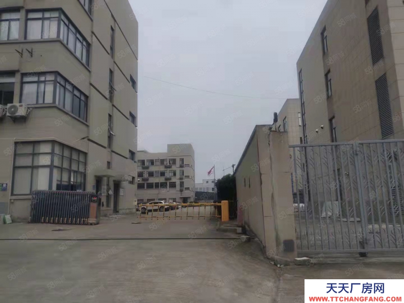 寧波鎮(zhèn)海(出售) 駱駝15畝 廠房5000平 重工高12米 售價6300萬