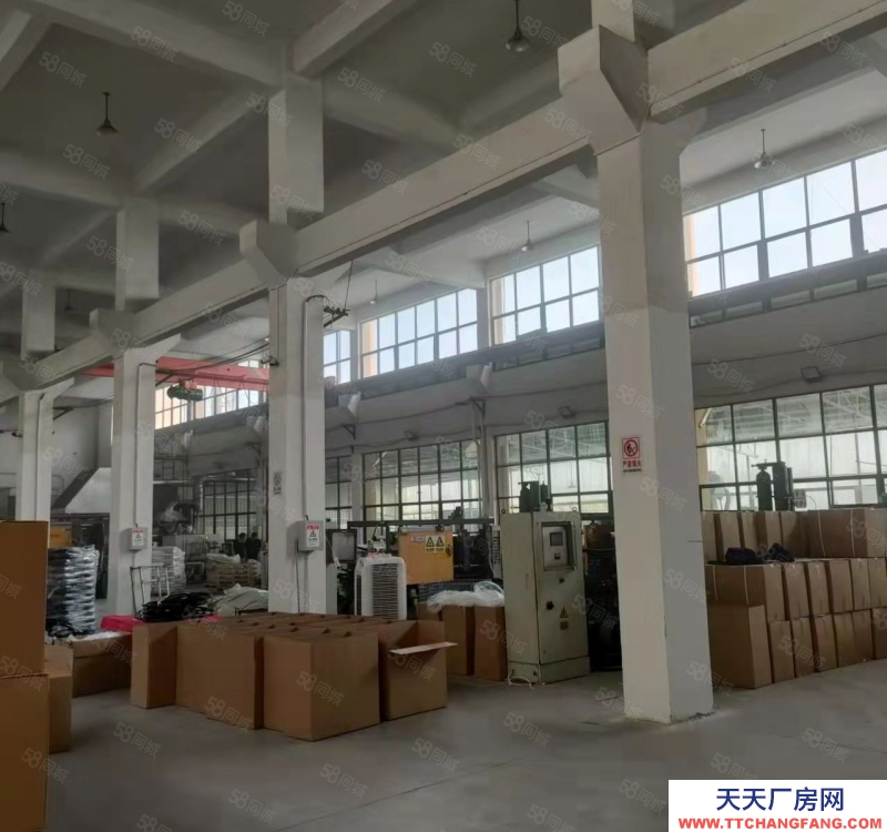 寧波鎮(zhèn)海(出售) 駱駝15畝 廠房5000平 重工高12米 售價6300萬