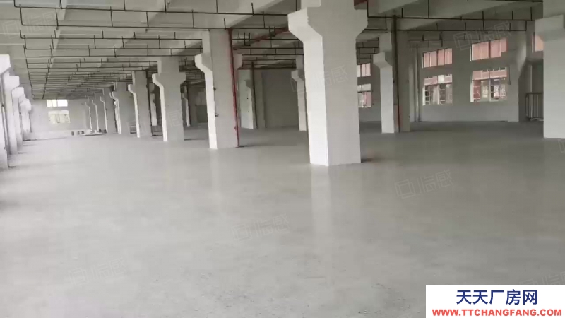 (出租) 中山小欖鎮(zhèn)寶豐社區(qū)樓上每層3000方全新廠房出租分租一共5層
