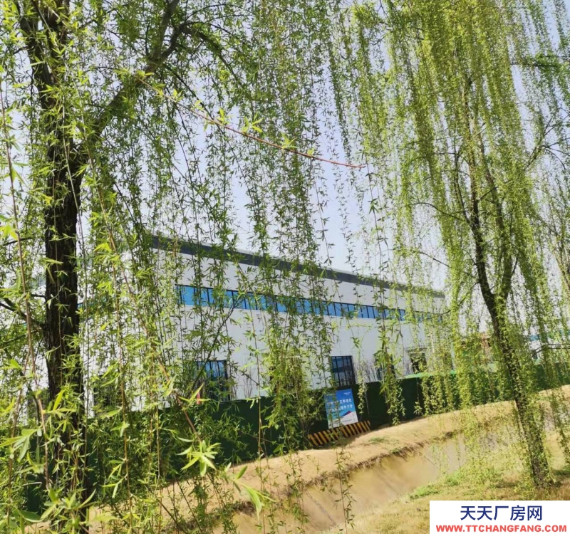 (出租)西安藍(lán)田 現(xiàn)房.單層鋼構(gòu).層高13.1米.預(yù)留10噸航吊