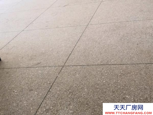 衡陽市常寧市 南門湖華僑城轉角處，三面環路，可做廠房或倉庫