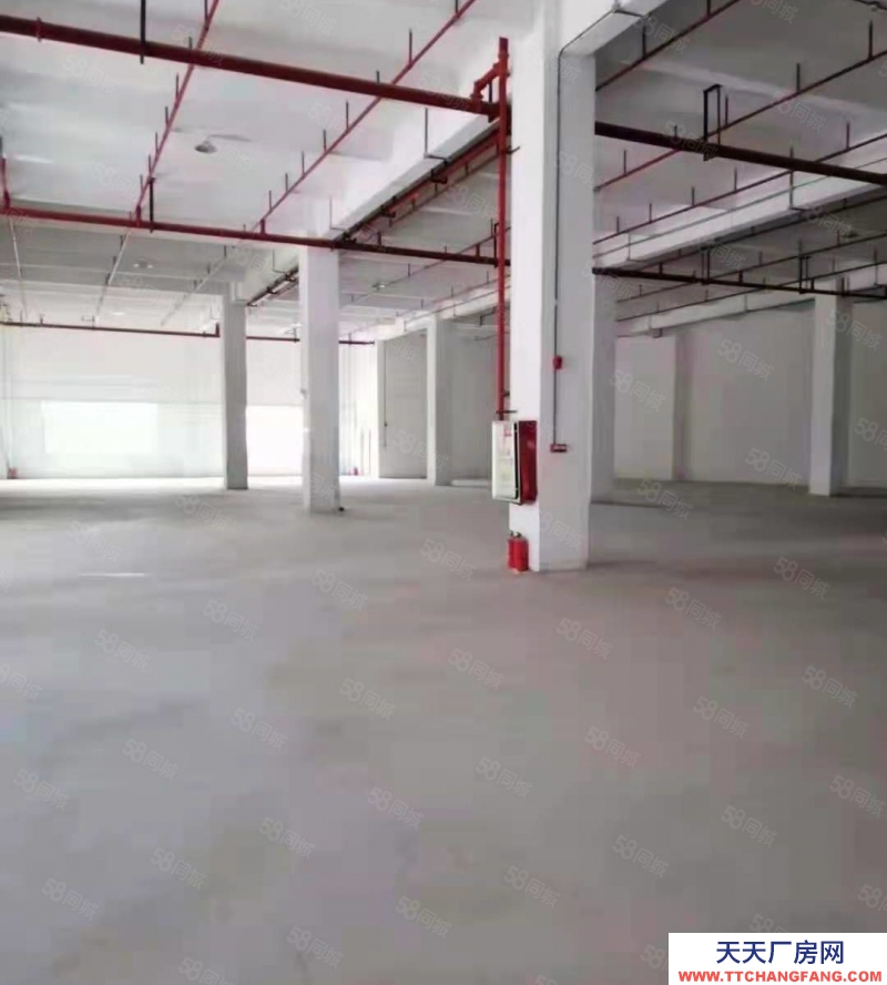 (出租) 中山南區(qū)獨(dú)門獨(dú)院全新廠房7440方，可分租