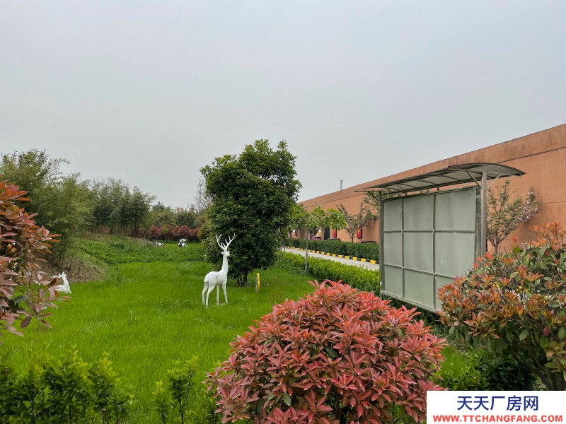 (出租) 西安長(zhǎng)安高新集賢產(chǎn)業(yè)園3000平方米食品廠房出租可分租有環(huán)評(píng)