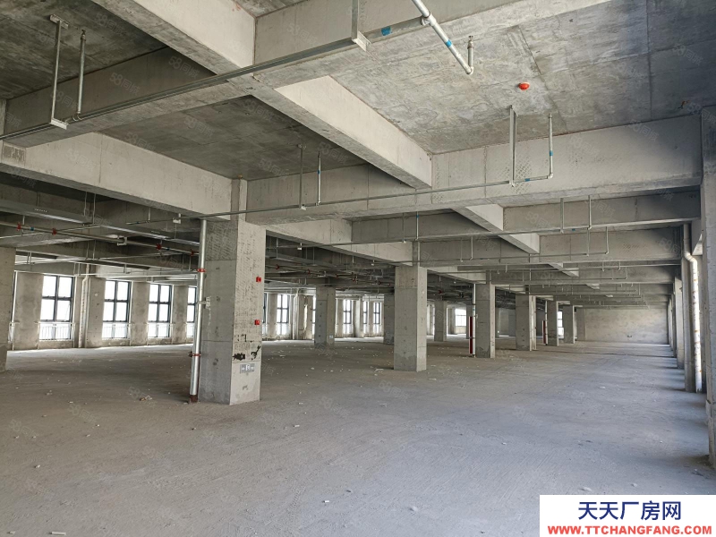 (出租) 西安長安郭杜街道 全新標(biāo)準(zhǔn)廠房 首層8米 獨(dú)棟兩層 面積可分割