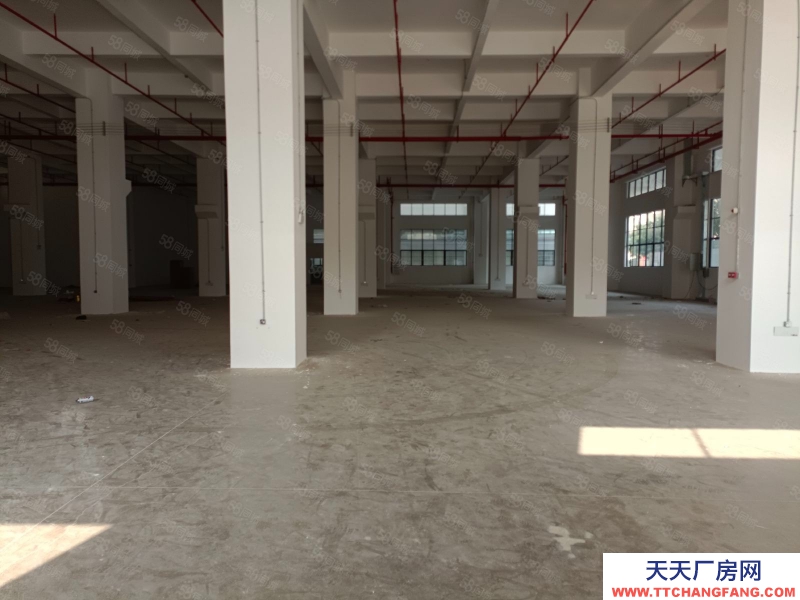 (出租) 中山東鳳吉昌全新廠房一至八層，每層4000方，1450方起租