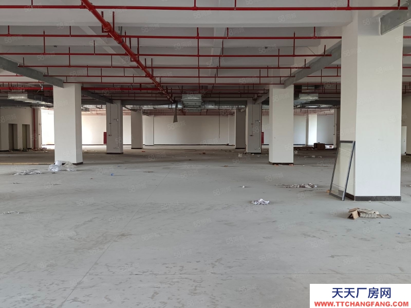 (出租) 中山東鳳電子城旁全新廠房每層3000,500方起分,房東包裝修