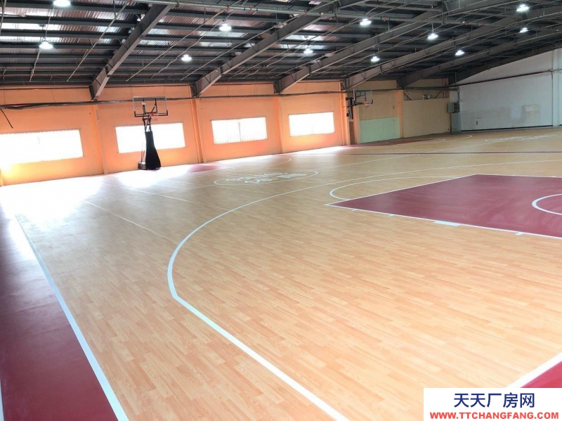 (出租) 西安新城標(biāo)準(zhǔn)籃球場(chǎng)地，4個(gè)籃板可升降。