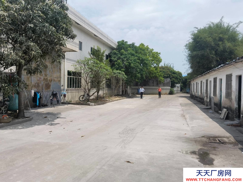 (出租) 中山南頭獨院單層廠房1000平米，帶行車，12米高，院子大，好進大車