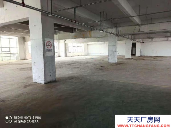 無錫濱湖出租胡埭倉庫一層1600平米，價格優惠