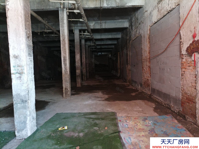 寧波鄞州(出租) 鄞州 江東南路一樓1000平分租500 實圖 適合冷庫或倉庫