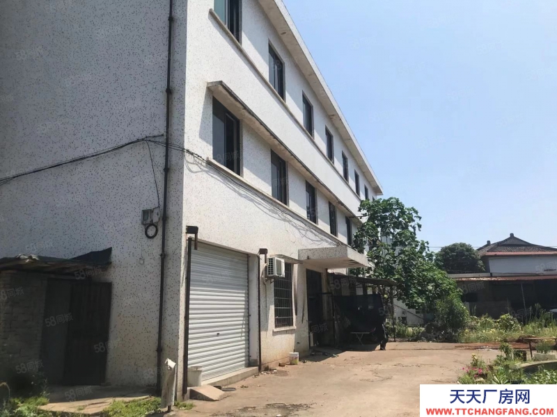 寧波象山(出租) 象山西周鎮獨棟廠房出租2000平，高5米，位置好