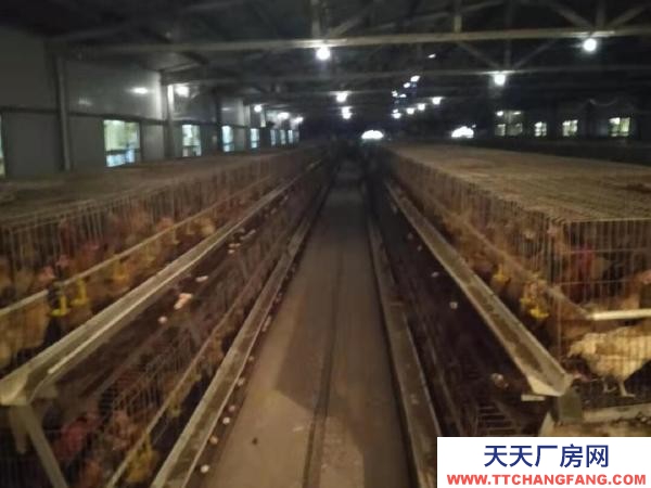 衡陽市衡東縣 廠房分a.b兩部分,共計1500平方,水電齊全,價格面議。