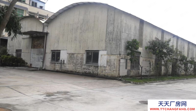 (出租) 中山五桂山免租期長,7月特價,歡迎咨詢。