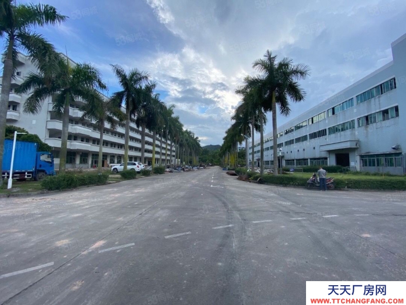 (出租) 中山五桂山鋼結構單一層10000平方廠房出租 滳水7米可辦評