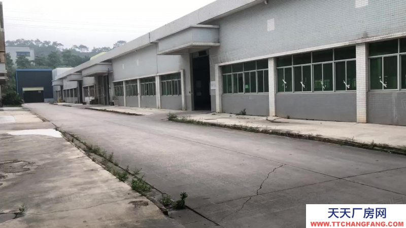 (出租) 中山五桂山鋼結構單一層10000平方廠房出租 滳水7米可辦評