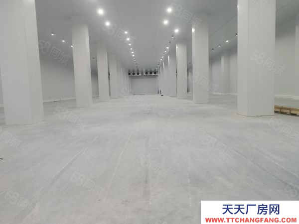 無錫惠山高標(biāo)庫冷庫1000平3000平5000平各種面積段都有