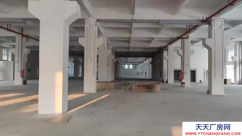 (出租) 中山大涌紅本獨院標準廠房20000方出租帶噴漆環評可分租