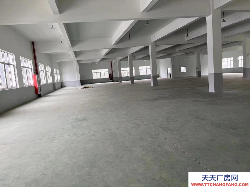 寧波象山(出租) 出租象山縣大徐鎮拾畝地工業區廠房