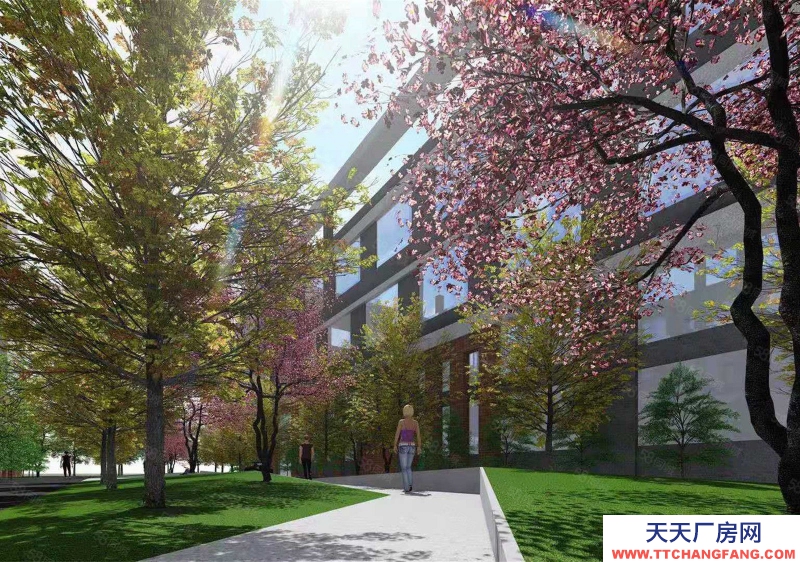 寧波象山(出售) 象山城區邊16畝10000平多層位置好2650萬