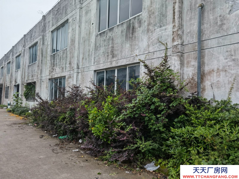 寧波象山(出售) 城區旁工業園區標準廠房！4000平方交通方便