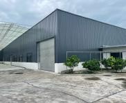 (出租) 彭山1500平方米全新標準廠房房東對外直租，無中介。