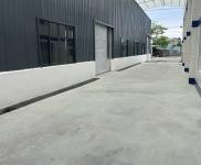 (出租) 彭山1500平方米全新標準廠房房東對外直租，無中介。