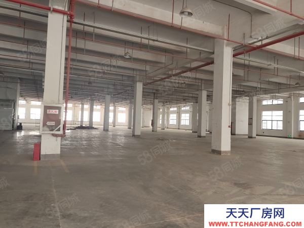 無錫錫山區 鵝湖工業區 新廠房出租,三層12000平,可分租價格便宜