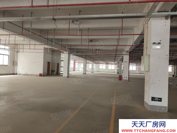 無錫錫山區(qū) 鵝湖工業(yè)區(qū) 新廠房出租，三層12000平，可分租價格便宜