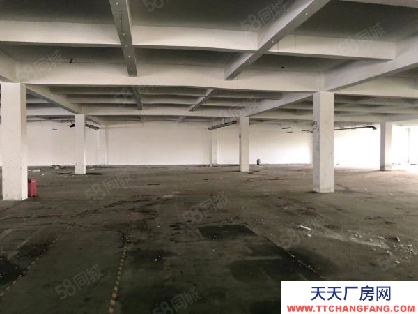 無錫錫山區(qū)東港 獨(dú)門獨(dú)院標(biāo)準(zhǔn)廠房4000,層高5米帶辦公室宿舍以及食堂