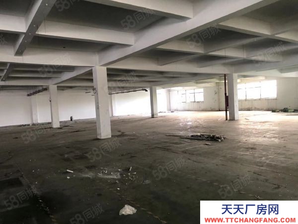 無錫錫山區(qū)東港 獨(dú)門獨(dú)院標(biāo)準(zhǔn)廠房4000,層高5米帶辦公室宿舍以及食堂