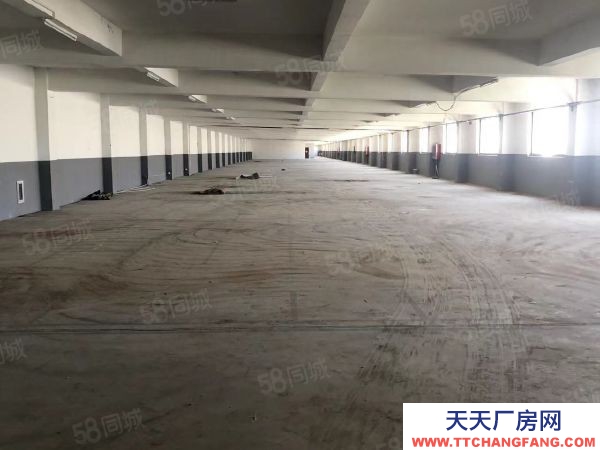 無錫錫山區(qū)東港 獨(dú)門獨(dú)院標(biāo)準(zhǔn)廠房4000,層高5米帶辦公室宿舍以及食堂