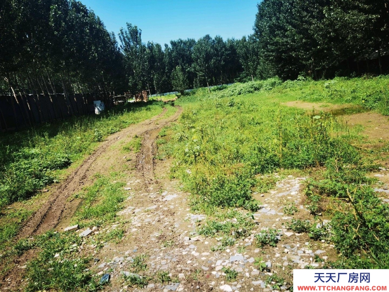 廊坊 香河 房東自己的地一手房源