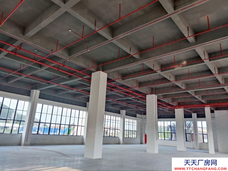 (出售) 中山石岐臨近深中通道 全新50年大產(chǎn)權(quán)廠房首付低至2成