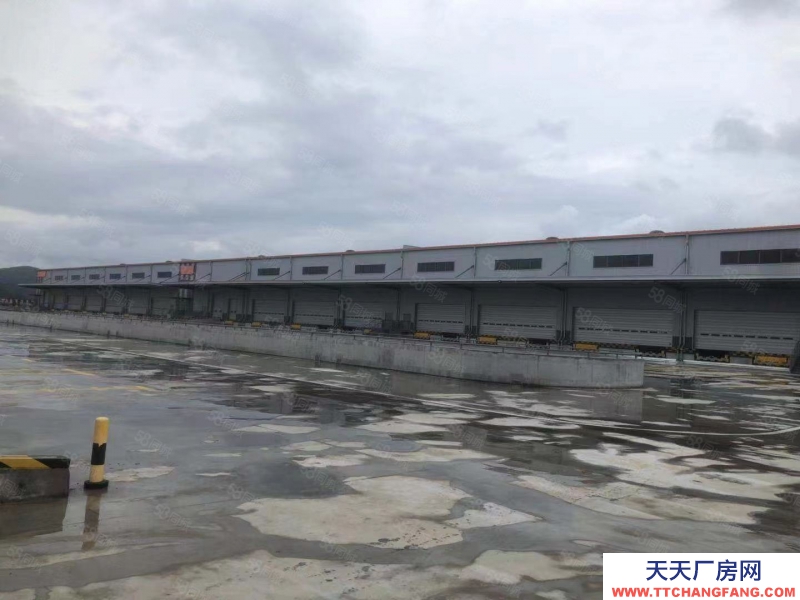 寧波余姚(出租) 余姚丈亭品牌高標庫3500起租緊貼319省道