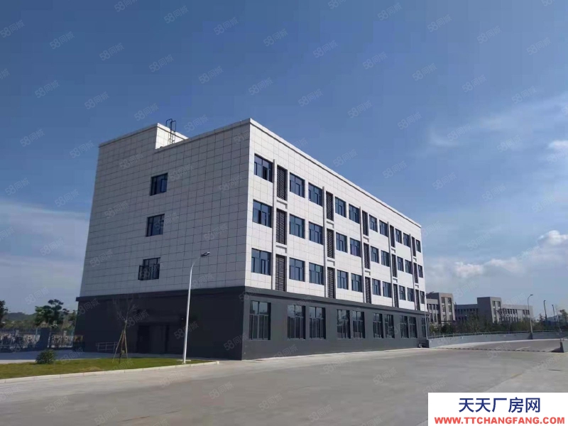 寧波余姚(出租) 余姚高標倉直租靠江北高標雙貨臺進出貨車方便