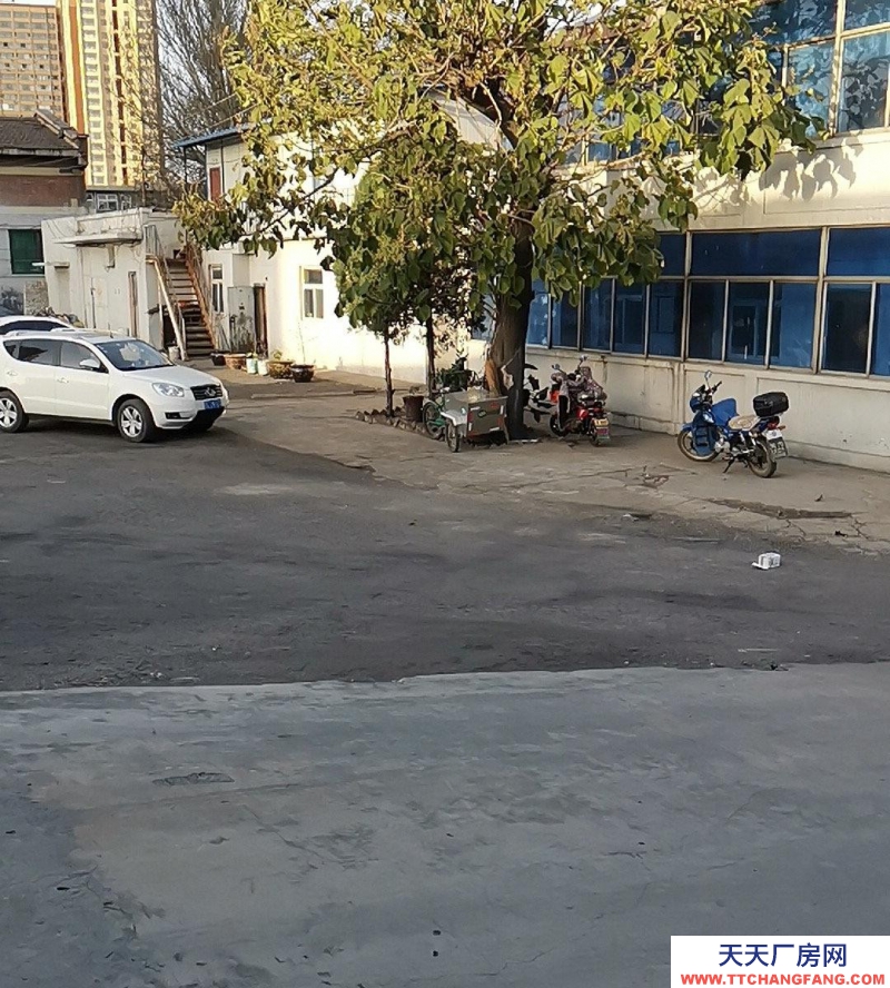 (出租) 義井橋加氣站旁 倉庫 2000平米