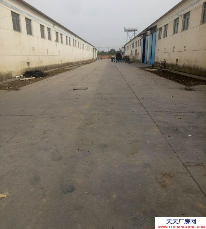 (出租)咸陽秦都區大面積廠房