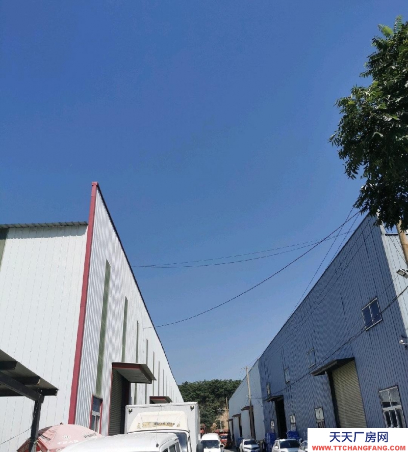 (出租) 咸陽渭城鋼結構庫房1900+5000平米各一棟